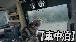 【車中泊】DIYしたエブリイで猫と車中泊冬の暖かアイテム持って山でカーキャンプ（OT 96H）充電式カイロ