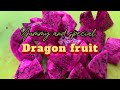 Let's peel and cut again dragon fruit ,tamsak lang po sapat na , #ASMR ,thank you and gudnight.