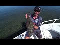 flathead eats lures on underwater u0026 aerial drone how to catch flathead on the flats with plastics