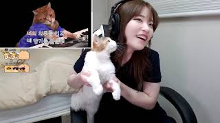 Streamer getting bitten by her cat