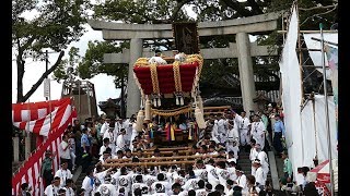 百舌鳥八幡宮秋祭り　梅北町ふとん太鼓　　宮入　石段（２０１８年９月２２日）－２