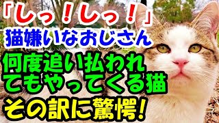 「しっ！しっ！」猫嫌いなおじさんに何度追い払われてもやってくる不思議な猫 その訳に驚愕 【猫の不思議な話】【朗読】