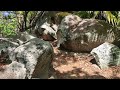 trekking from grand anse to petit anse. la digue seychelles