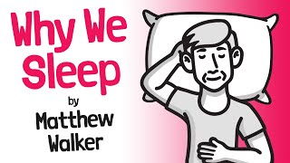 Why We Sleep Book Review 📖 Matthew Walker