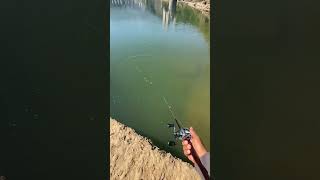 Fishing 🎣 Trap 😍 #amazing #fish #trap #tiktok