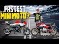 MiniMoto Drag Race And Performance Showdown!