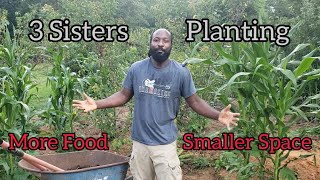 Grow More Food In Less Space Using This Method| 3 Sisters Planting