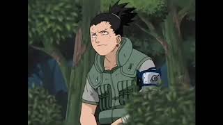 Shikamaru e Temari vs Tayuya [AMV]