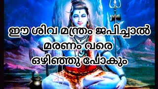 ഈ ശിവ മന്ത്രം ജപിച്ചാൽ മരണം വരെ ഒഴിഞ്ഞുപോകും #astrology #jyothisham