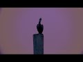 25 min pelican sunset with lofi hiphop guitar