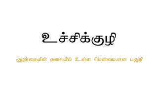 உச்சிக்குழி - குழந்தையின் தலையில் உள்ள மென்மையான பகுதி - தமிழ்