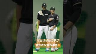 【無職:杉谷拳士】本当は杉谷の事が大好きな大谷選手 #shorts #侍ジャパン #wbc #杉谷拳士