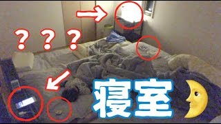 【生後5ヶ月】夜中1度もベッドから降りずに済む寝室