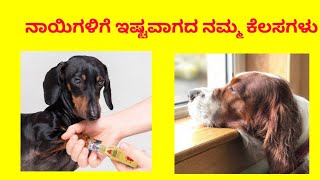 ನಾಯಿಗಳು ನಮ್ಮ ಯಾವ ಕೆಲಸ / ನಡೆಯನ್ನು ಇಷ್ಟಪಡಲಾರವು ? ಗೊತ್ತೆ !!!?