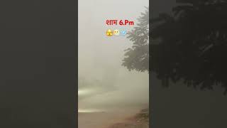 कोहरा ही कोहरा होगया हैं 🫣😶‍🌫️#shorts #viralvideo #trending #shortsfeed#haryana #sumannarwalvlogs