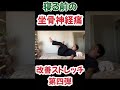 【坐骨神経痛・腰痛】寝る前のストレッチルーティン4 shorts