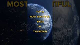 Top 10 beautiful birds in the world #shorts #viral #ytshorts #trending #youtubeshorts
