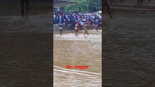 #bullrace #mannarkkad