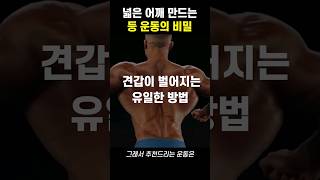 와.. 이걸 몰라서 어좁이 될 뻔 ㄷㄷ (넓은 어깨 만드는 유일한 등 운동!)