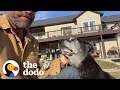 Senior Shelter Dog Starts Galloping Like A Puppy | The Dodo