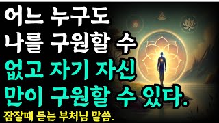 어느 누구도 나를 구원할 수 없고 자기 자신만이 구원할 수 있다- 잠잘때듣는 부처님말씀|오디오북|철학과지혜|옛성인들의지혜|반복|지혜의 샘