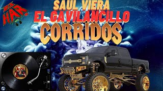 SAUL VIERA EL GAVILANCILLO CORRIDOS LEGENDARIOS LO MEJOR DE LO MEJOR