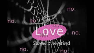 No Love (Slowed x Reverbed)||Shubh||#Musicdynamics||#8D