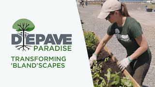 Depave Paradise — Creating Equitable Green Spaces | Green Infrastructure Project