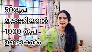 ഇനി നിങ്ങൾക്കും വരുമാനം ഉണ്ടാക്കാം | BUSINESS IDEA | BUSINESS WITHOUT INVESTMENT | PART-TIME JOB