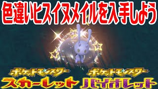 【ポケモンSV】色違いヒスイヌメイルを入手しよう【ポケットモンスター スカーレット・バイオレット ゼロの秘宝 藍の円盤】Pocket Monsters