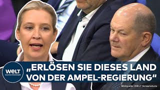 HAUSHALTSKRISE: "Rücktrittserklärung!" AfD-Chefin Alice Weidel fordert Olaf Scholz zum Rücktritt auf