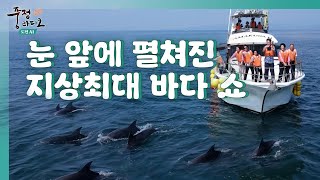 [풍정라디오 도전 AI] 13편 일본 바다에서 본 돌고래 쇼