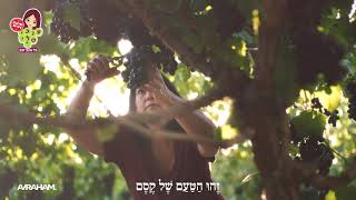 כן, כל עינב זהב- סייבל