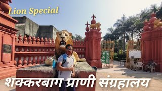 सिंहाचे शक्करबाग प्राणीसंग्रहालय, जुनागढ/Sakkarbaug Zoological Garden, Junagadh /Mangesh Mane