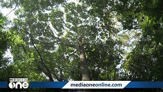 വിശദാംശങ്ങൾ നൽകാതെ കേരളം; പരിസ്ഥിതി ലോലമേഖലകളുടെ അന്തിമ വിജ്ഞാപനം വൈകുന്നു