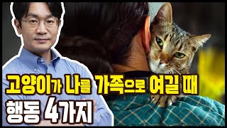 고양이가 여러분을 가족으로 생각할때 표현하는 4가지 행동