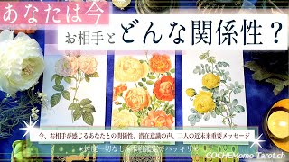 【想い】お相手とあなた✴︎どんな関係性？【辛口✴︎覚悟】お相手の気持ち、本格リーディング、忖度一切なし