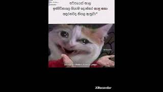 සුපිරි fun එකේ fun මේවා බලන්න subscribe කරලා යමු #jokes #funny