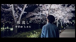 桜流し - 宇多田ヒカル  (covered by うがりょー)