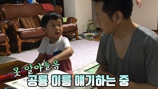 할아버지와 손자의 흔한 대화(공룡색칠놀이)