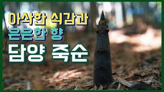 담양 죽순 아삭아삭한 식감과 은은한 향이 일품!