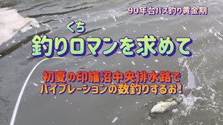 初夏の印旛沼中央排水路をバイブレーションの数釣りで遊ぶ♪   ９０年代バス釣り黄金期　【釣りロマンを求めて】　つりくちまんをもとめて