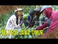 TELUSUR JAWA TIMUR | JEJAK PETUALANG (21/05/24) Part 3