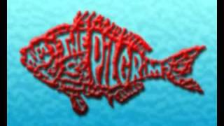 The Pilgrims - Picture Yourself