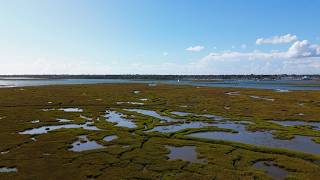 Lymington Saltmarsh Restoration Project: Update