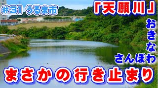 ♯31 おきなわさんぽ うるま市 天願川 ｢まさかの行き止まり｣ 沖縄観光 沖縄旅行