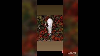 Fall From Her Grace
