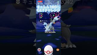 【ポケモンGO】キュレム100%降臨！！！GOツアーイッシュでみんなガチろう！！ホワイトキュレム、ブラックキュレム獲得チャンス！