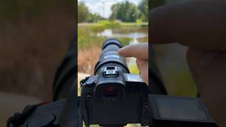 This is how I get sharp photos with a #telephoto #lens. #photography #phototips #photographytips