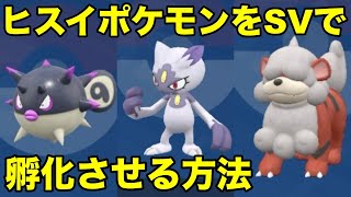 【ポケモンSV】ヒスイハリーセン、ニューラ、ガーディをSVで孵化させる方法※通常だと生まれません